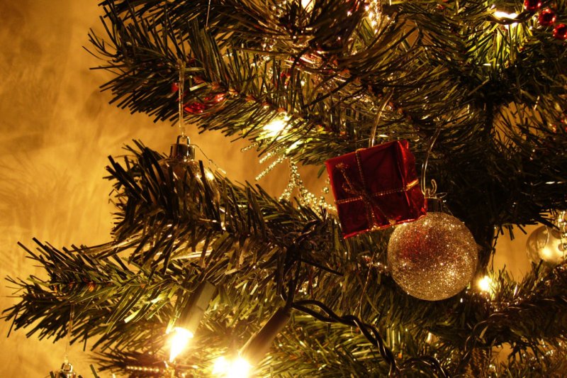 Назван срок избавления от новогодней елки в доме