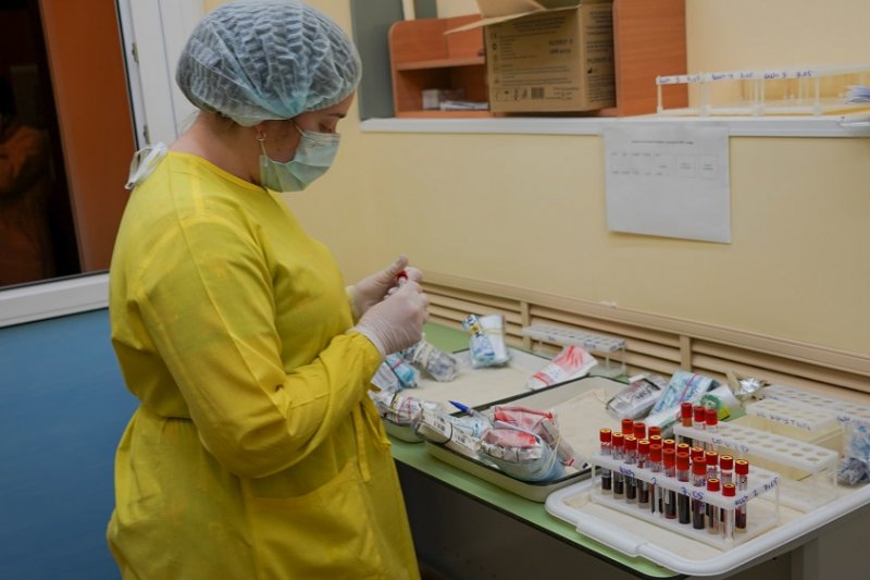 В России разработают жвачку от коронавируса
