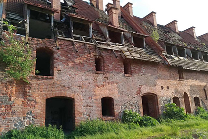 Россиянин казнил кошку и на пять дней спрятался в заброшенном немецком замке