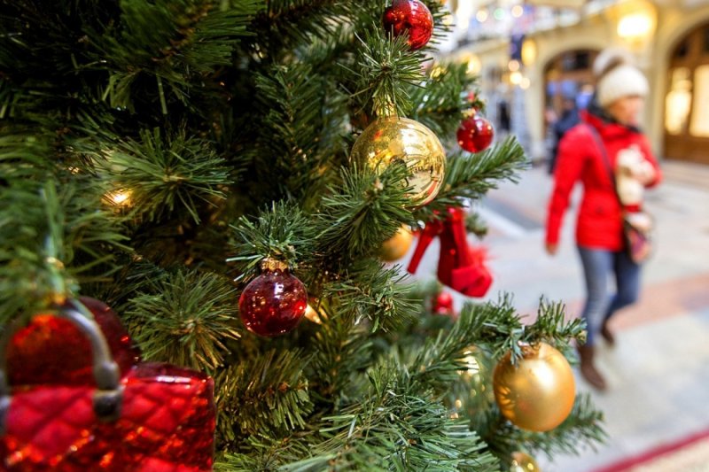 Жириновский предложил отменить новогодние каникулы и выйти на работу 2 января
