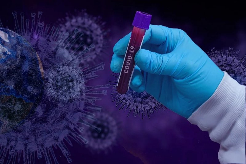 Вирусолог спрогнозировал судьбу коронавируса